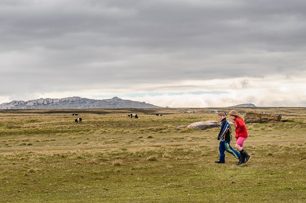 Falklandy