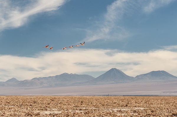 Chile