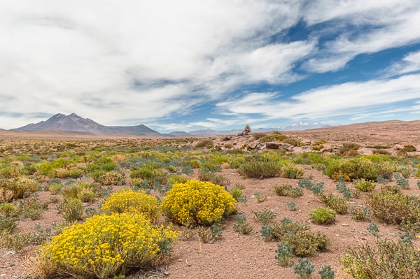 Chile