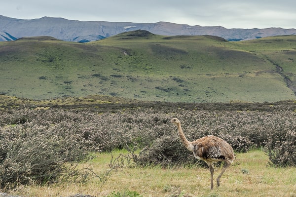 Chile