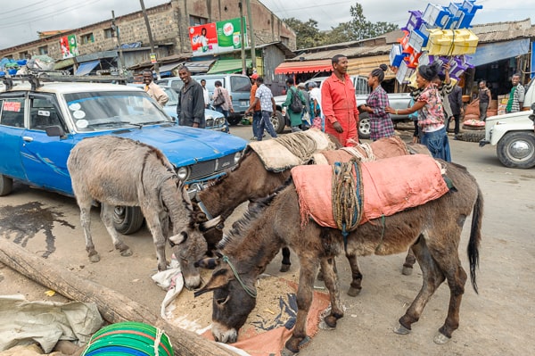 Etiopia