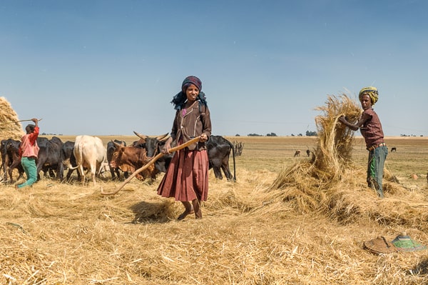 Etiopia