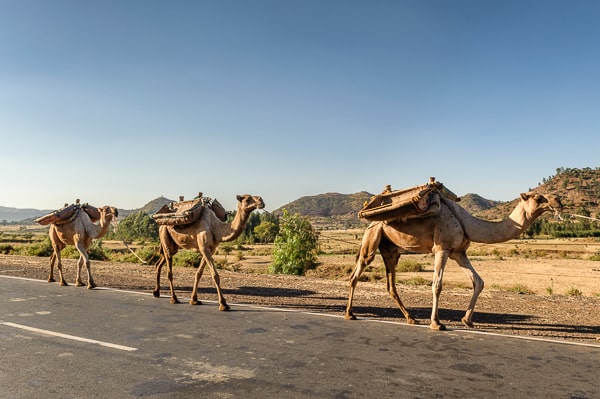 Etiopia