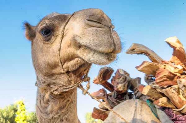 Etiopia
