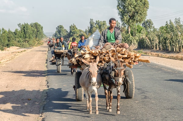 Etiopia