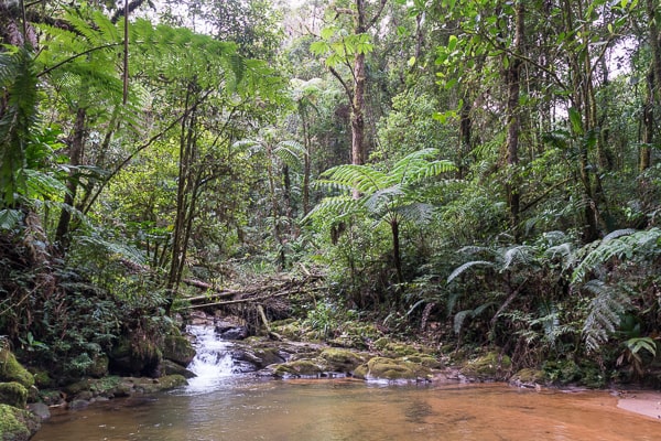 Gwatemala