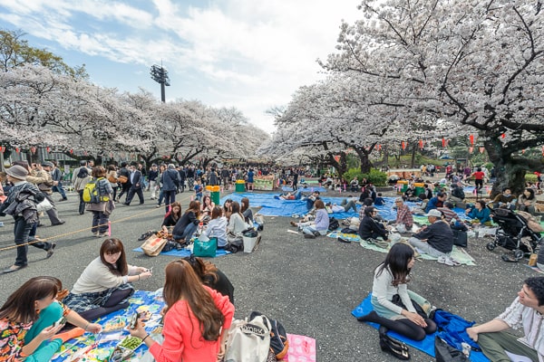 japonia