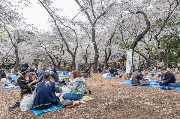 japonia