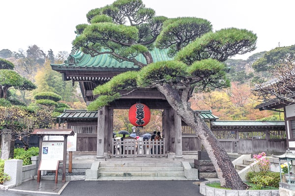 japonia