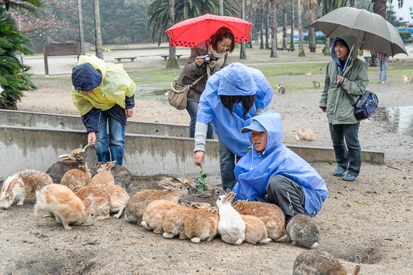 japonia