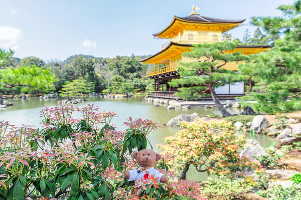 japonia