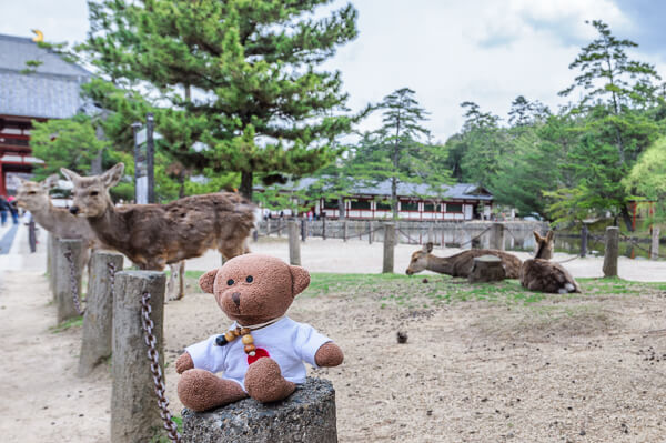 japonia