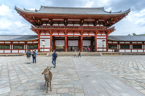 japonia