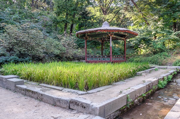  Korea