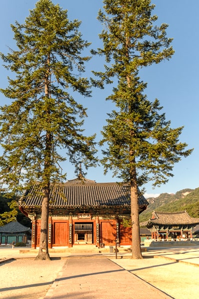  Korea