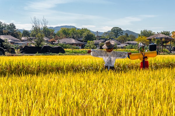  Korea