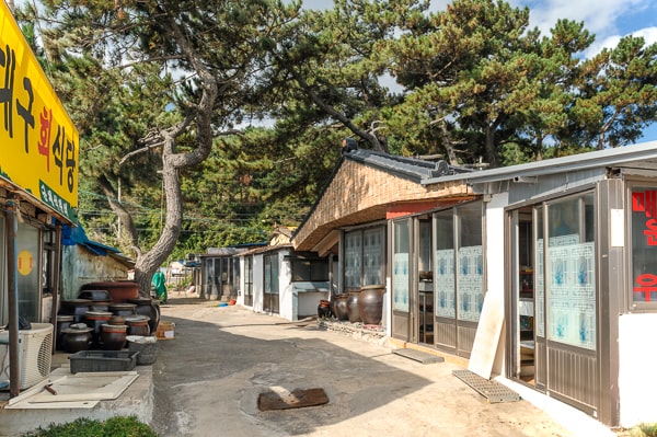  Korea