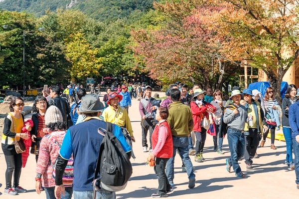  Korea