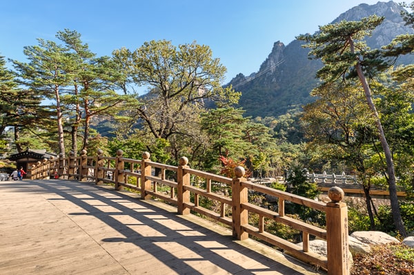  Korea