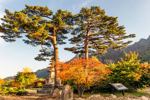  Korea