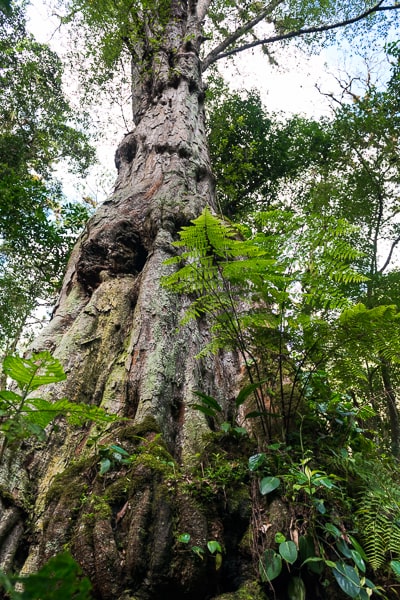 Panama