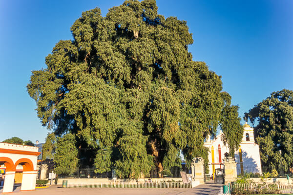 Meksyk