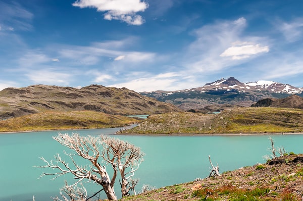 patagonia