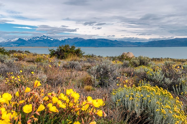 patagonia