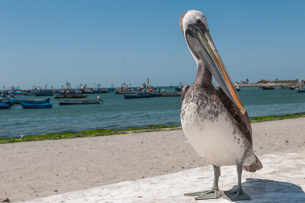 Peru