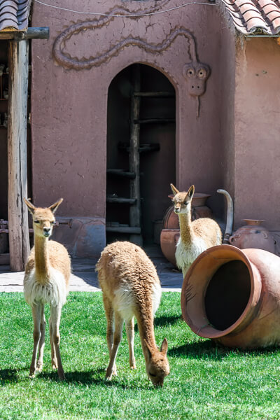 Peru