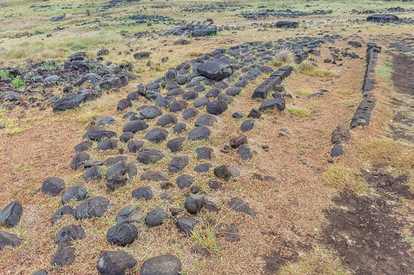 Rapa Nui