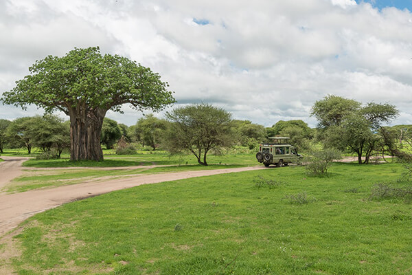 Tanzania