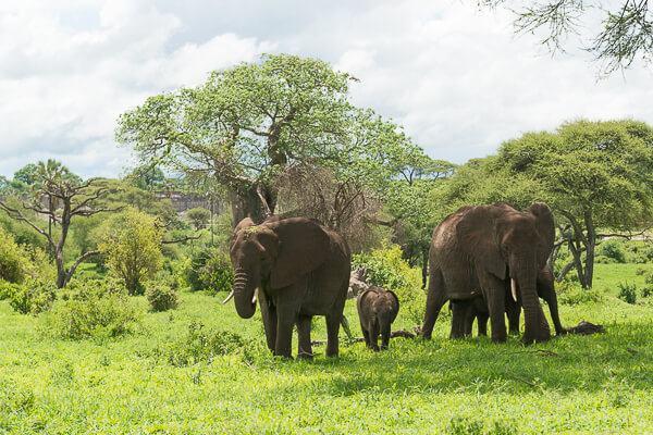 Tanzania