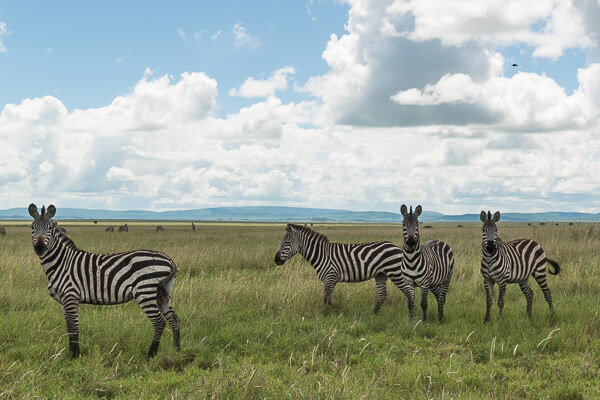 Tanzania