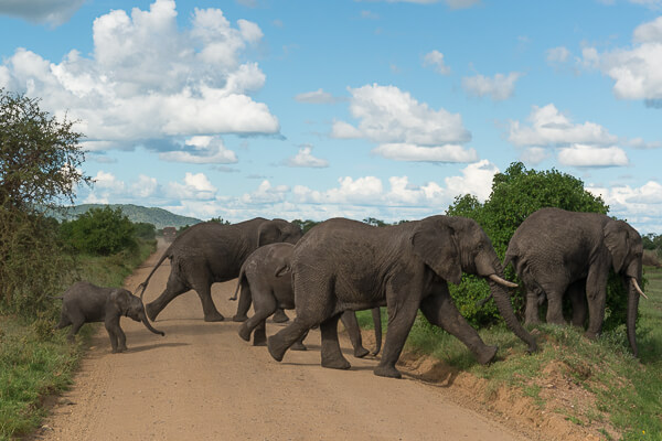 Tanzania