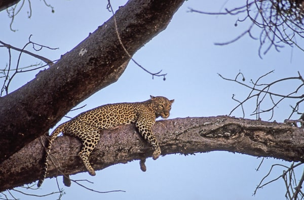 Tanzania