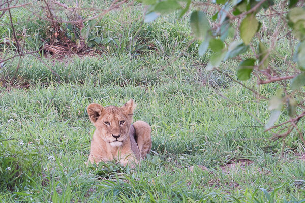 Tanzania