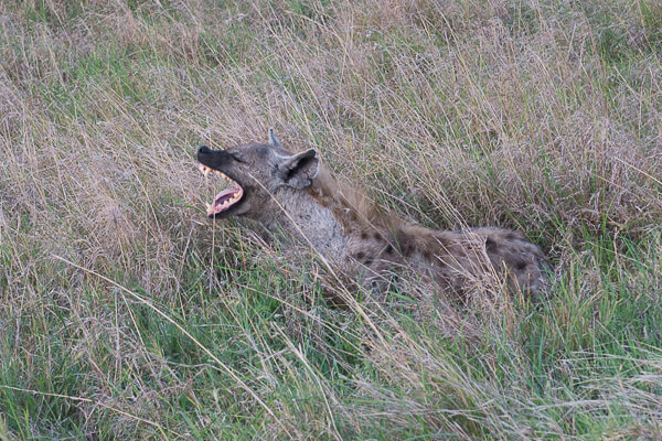 Tanzania