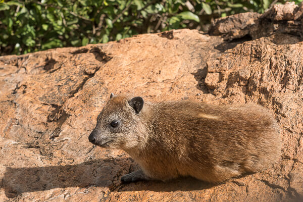 Tanzania