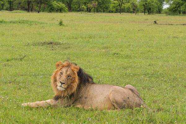 Tanzania