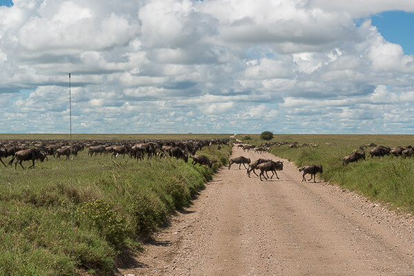 Tanzania