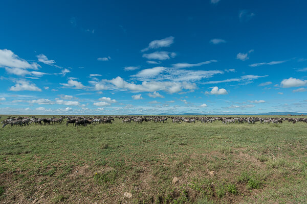 Tanzania