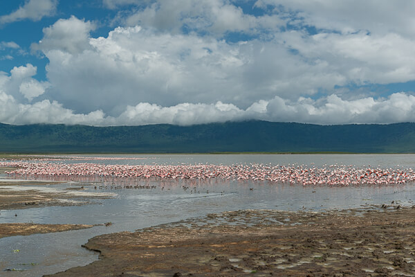 Tanzania