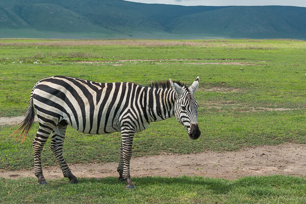 Tanzania