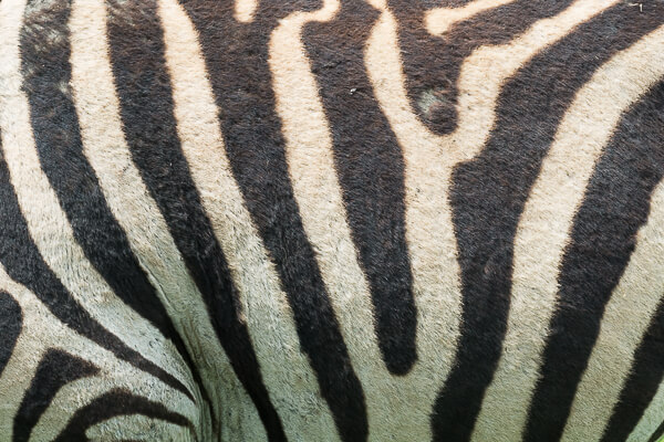 Tanzania