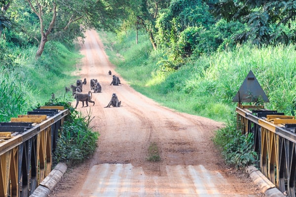 Uganda