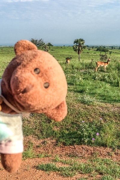 Uganda