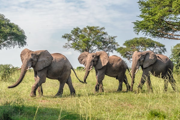 Uganda