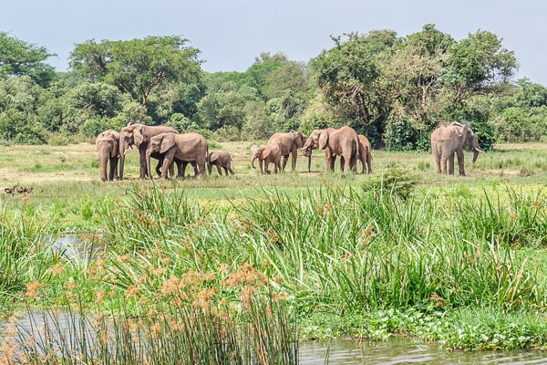 Uganda