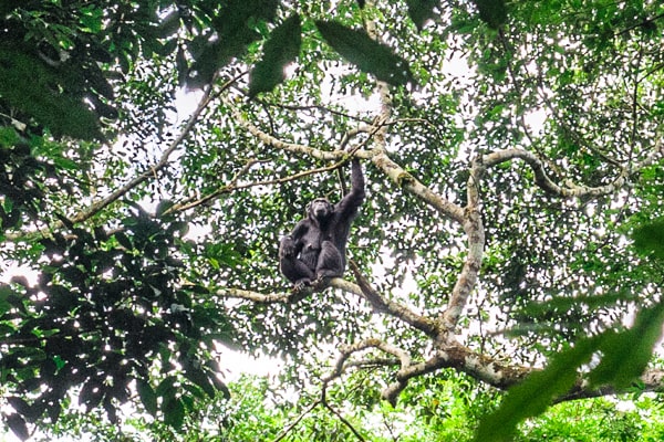 Uganda